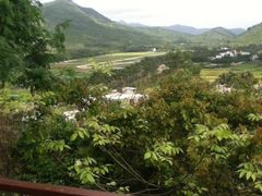 441-三亚亚龙湾人间天堂鸟巢度假村