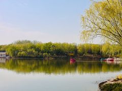 -大兴滨河森林公园