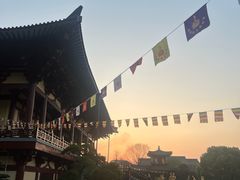 -庐山风景名胜区-东林大佛