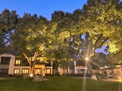 -杭州西湖柳莺里酒店·闻莺厅