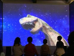 -恐龙探索乐园(磁器口店)