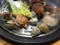 -黄寺蒸汽海鲜(黄寺大街店)