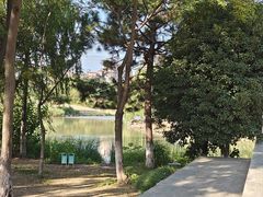 -九里河湿地公园