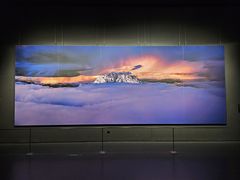 -罗红摄影艺术馆