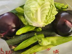 -庞各庄翠芳园西瓜蔬菜基地采摘园