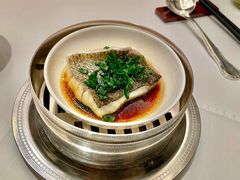 -福1015(愚园路店)