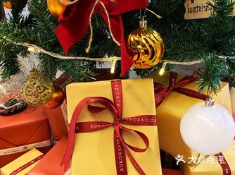 招募圣诞气氛组成员——Auroravida