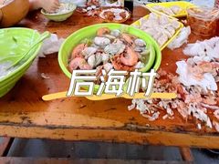 -后海村
