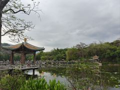 -星湖旅游景区七星岩