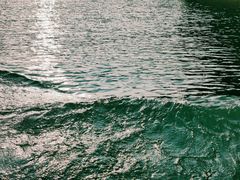 -广州市流溪河国家森林公园