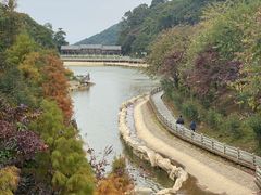 -广州市帽峰山景区
