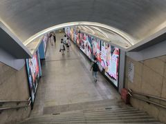 -大望路(地铁站)