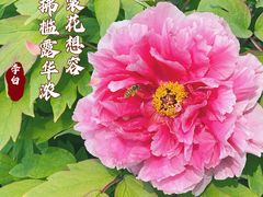 -国家植物园