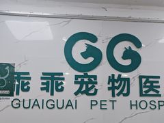 -乖乖宠物医院·猫科·骨科·24小时(云岗分院)