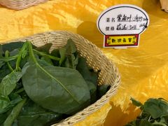 -大方圆酒楼(西门大街店)