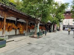 -三林塘老街