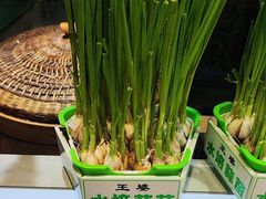 -王婆炒鱼(总店)