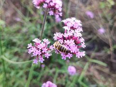 -石井坡(地铁站)