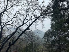 -潭柘寺景区