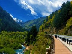 -九寨沟-树正沟