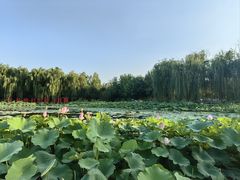 -云居湖