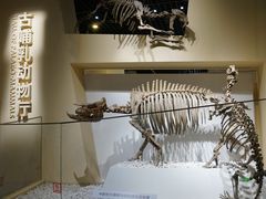 -国家自然博物馆