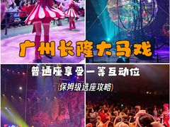 -广州长隆国际大马戏