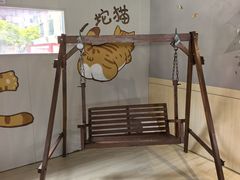 -豆逗聊愈猫阁Easy Life