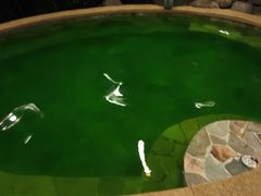 -天目湖涵田半山温泉