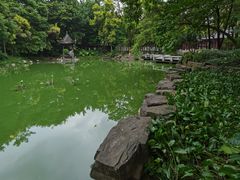 -深圳国际园林花卉博览园