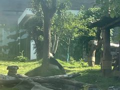-武汉动物园