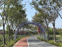 -上海长兴岛郊野公园