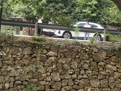 -北仑森林植物园