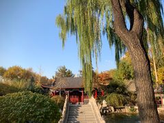 -碑林公园