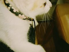 -WATER CAFE(广厦店)