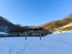 -云岭野山参风景区