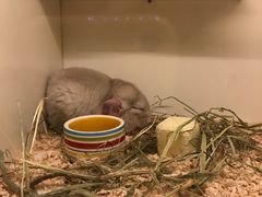 -龙猫仔乐园(惠福东路店)