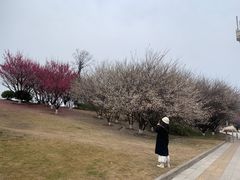 -鱼痴渔醉·食鲜集(青山江滩店)