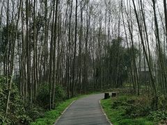 -桤木河湿地公园