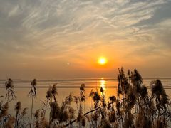 -滆湖低碳生态公园
