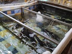水产区-缘福乡村铁锅炖民宿(八达岭店)