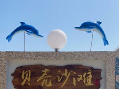 -贝壳沙滩