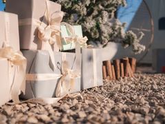 -安德鲁户外烧烤帐篷营地(马泉营店)