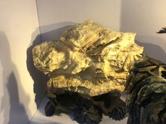 -游龙石文化科普馆