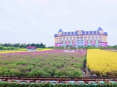 -百万葵园