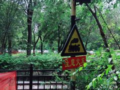 -西青郊野公园