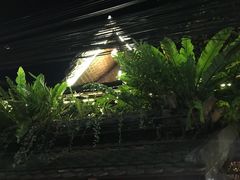 -自然餐厅(Phuket)