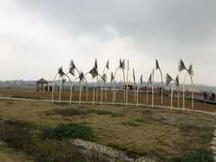 -空港花田景区