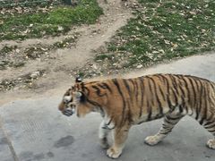 -西安秦岭野生动物园