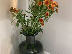 -汤和好天气 粤菜小馆(鸳鸯店)